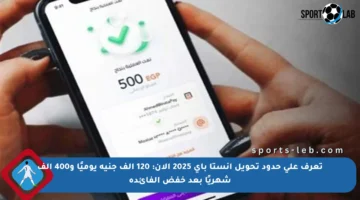 تعرف على حدود تحويل إنستا باي 2025 الآن: 120 ألف جنيه يوميًا و400 ألف شهريًا بعد خفض الفائدة